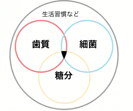 むし歯における3つの要素